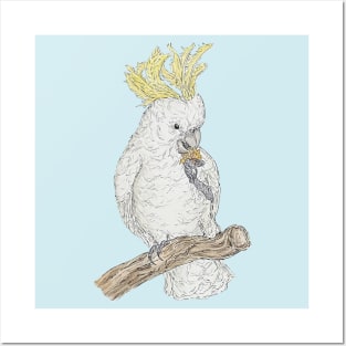 Cockatoo Posters and Art